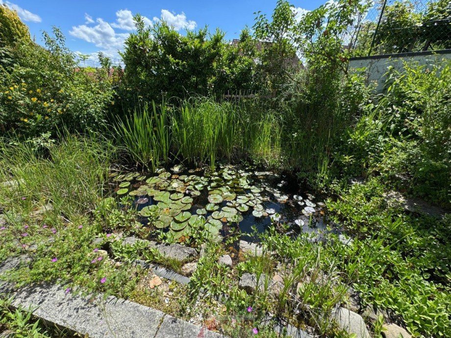 Garten mit kl. Teich Einfamilienhaus Vaihingen/Enz