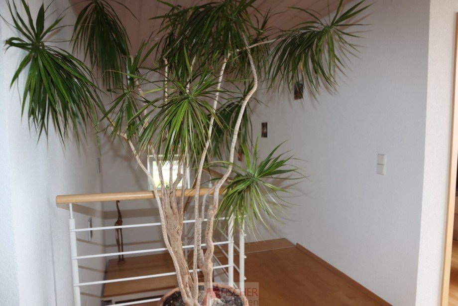 Flur OG Einfamilienhaus Vaihingen/Enz
